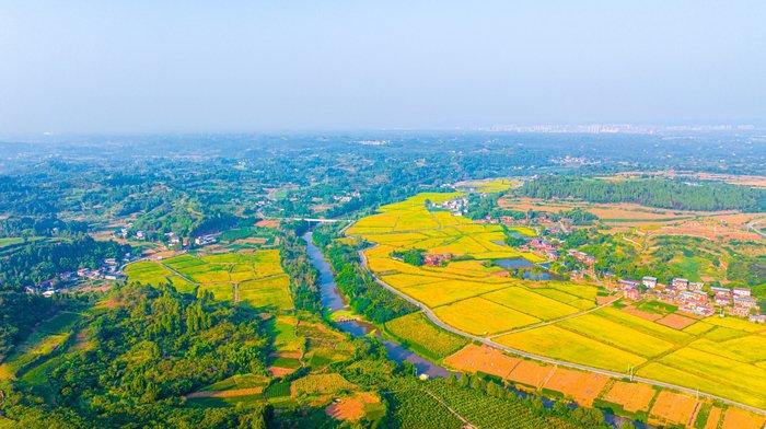 高“烤”30余天，都江堰引水12亿方为四川盆地“解暑”