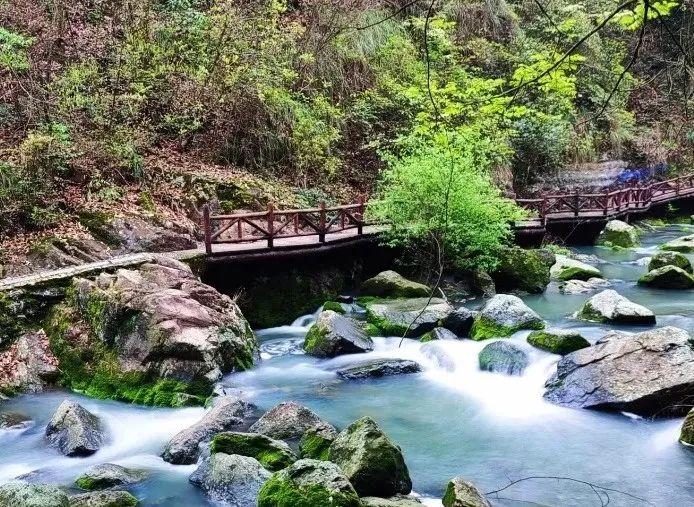 景点免费游、住宿餐饮有优惠！杭温高铁沿线超多限时福利等你来领