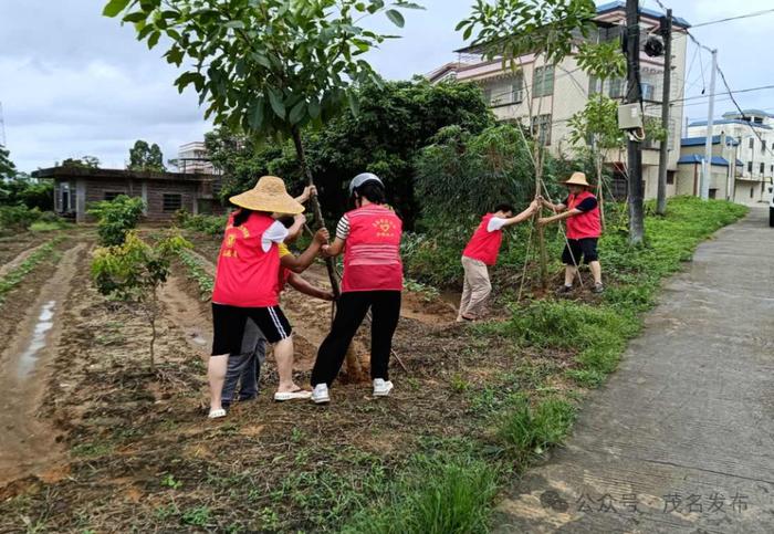 茂名电白：党员干部同心协力打好防御台风“摩羯”攻坚战