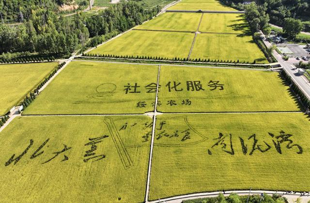 黄土高原上的“小江南”处处好风光