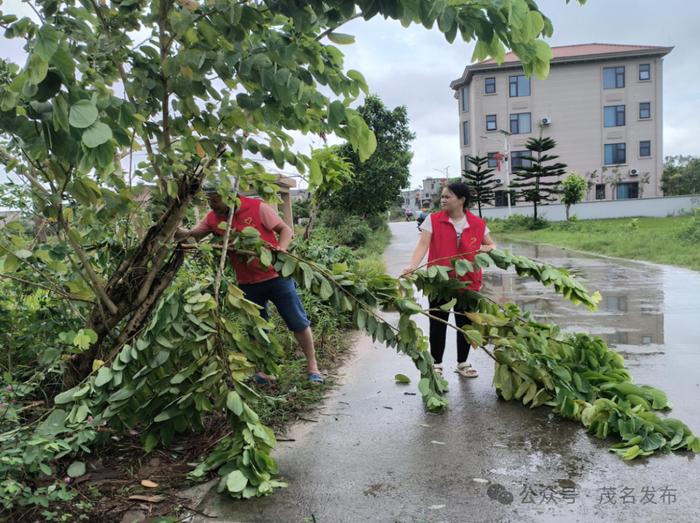 茂名电白：党员干部同心协力打好防御台风“摩羯”攻坚战