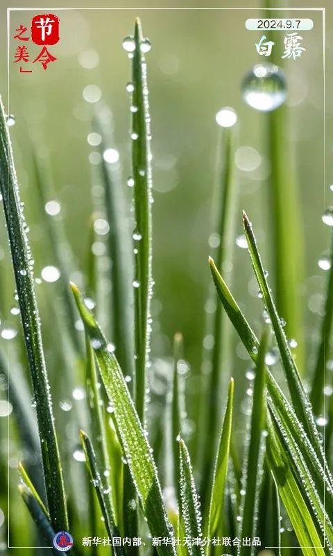 节气 | 周末降雨+降温！今天11时11分正式进入……