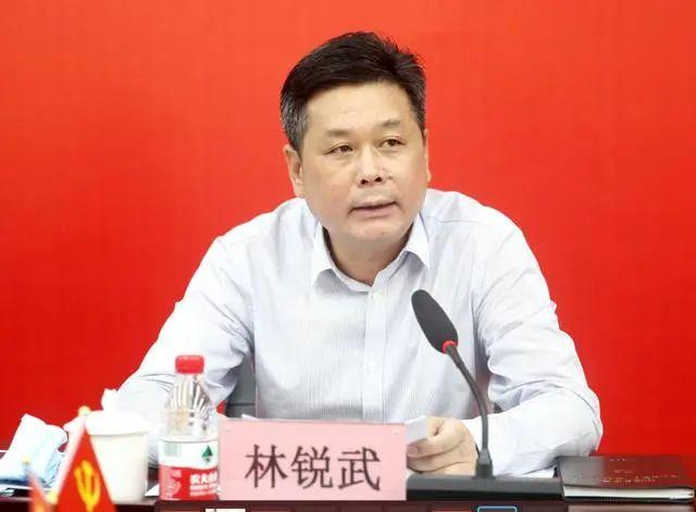 汕头副市长林锐武落马，曾因矿区重金属治理不力被处分