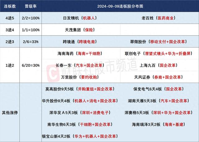 9月9日连板股分析：高位股大幅退潮 国企改革概念爆发