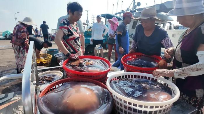 正大量上市！“50年一遇”，有人一买就是200斤