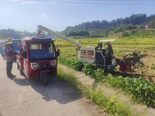 “村村旺”产销对接 铜梁水稻订单迎丰收