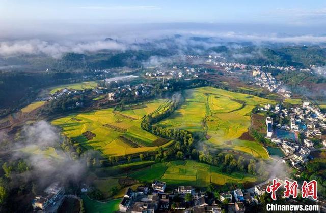 贵州秋日田野景如画