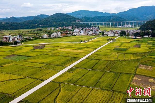 贵州秋日田野景如画