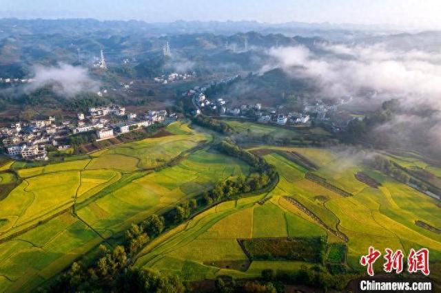 贵州秋日田野景如画