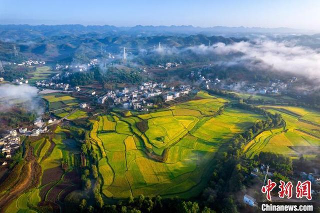 贵州秋日田野景如画