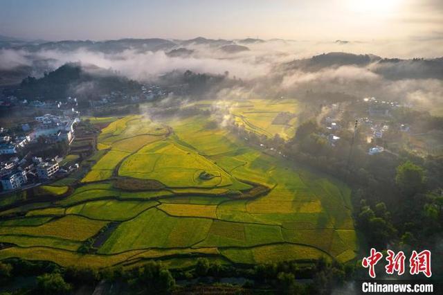 贵州秋日田野景如画