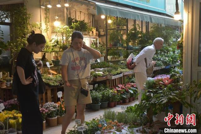 探访南昌千花伴花鸟市场 感受慢节奏生活