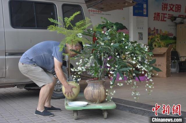 探访南昌千花伴花鸟市场 感受慢节奏生活