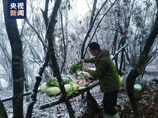 饲养员变身“熊猫人”，熊猫：“妈妈，这两只好像有点怪”