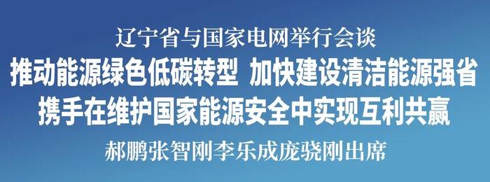 辽宁省与国家电网举行会谈 郝鹏张智刚李乐成庞骁刚出席