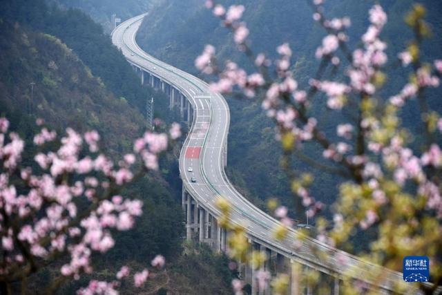 贺海波：明知很多产业项目有风险，基层政府还要毅然决然地推动