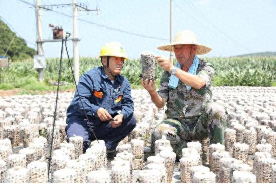 能源助推“三农”工作 电靓辽宁和美乡村