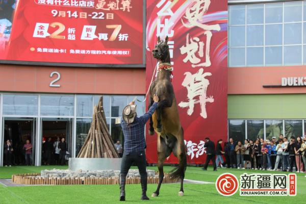 骑着汗血宝马逛商场！高新区（新市区）这场活动真拉风