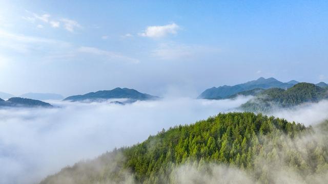 重庆酉阳秋晨平流雾 流淌山涧如幻境