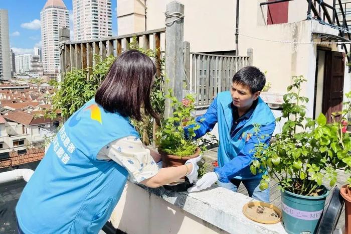 持续滚动｜上海南京东路街道视频巡查广告牌、店招店牌等