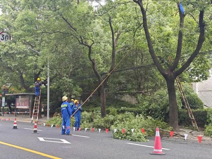 【提示】台风来袭，上海道路运输、绿化市容、城管部门全力落实应对措施，开展防台防汛工作