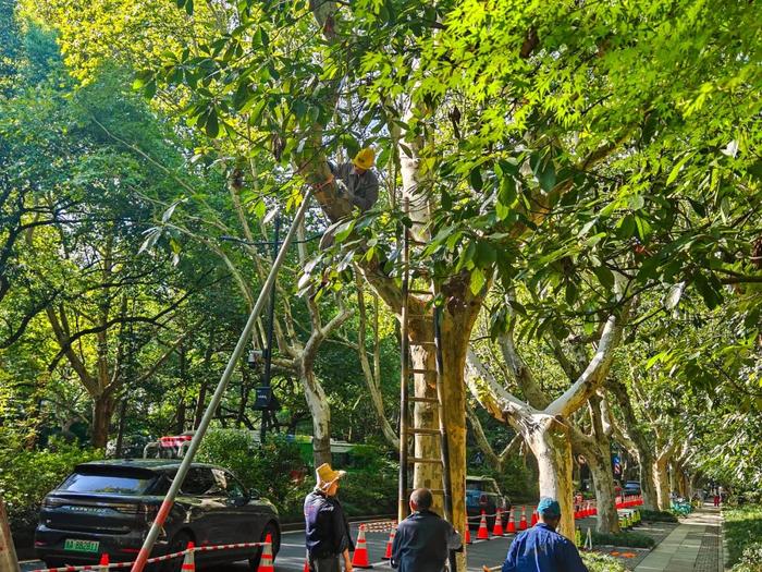 橙色预警！台风“贝碧嘉”将在江浙沿海登陆，多地有大到暴雨