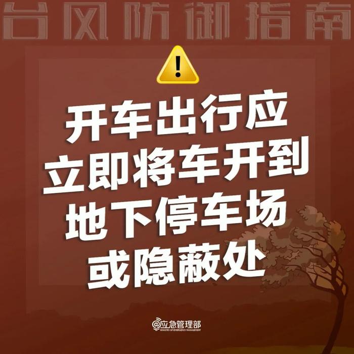 台风实时路径一键查询，应急避险小贴士请查收→