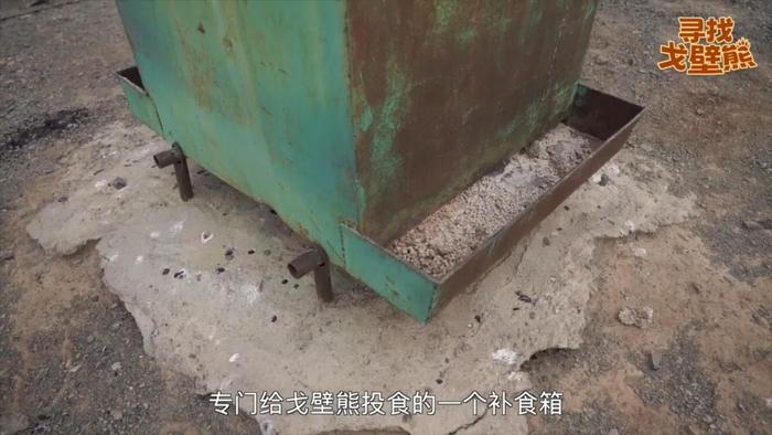 △为保证戈壁熊在冬眠前后有充足的食物补充,中国向保护区设立的戈壁熊补饲点援助饲料。