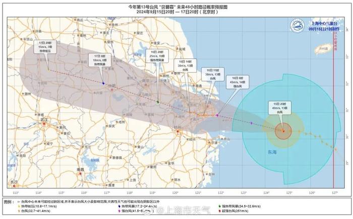 上海发布暴雨黄色预警，这份防御指南请查收→