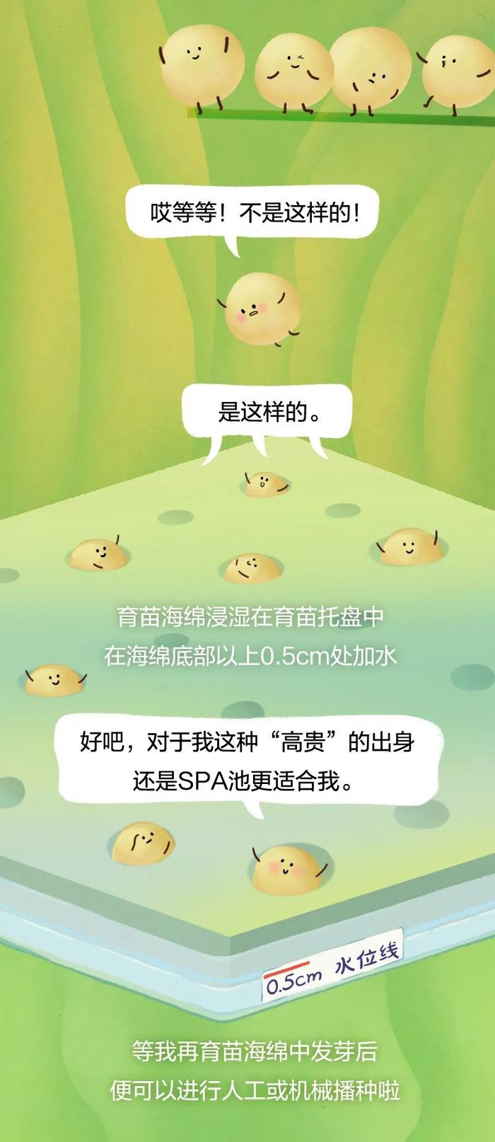 这种蔬菜，高纤维、低嘌呤，还能降低胆固醇！减肥的人吃想长胖都难