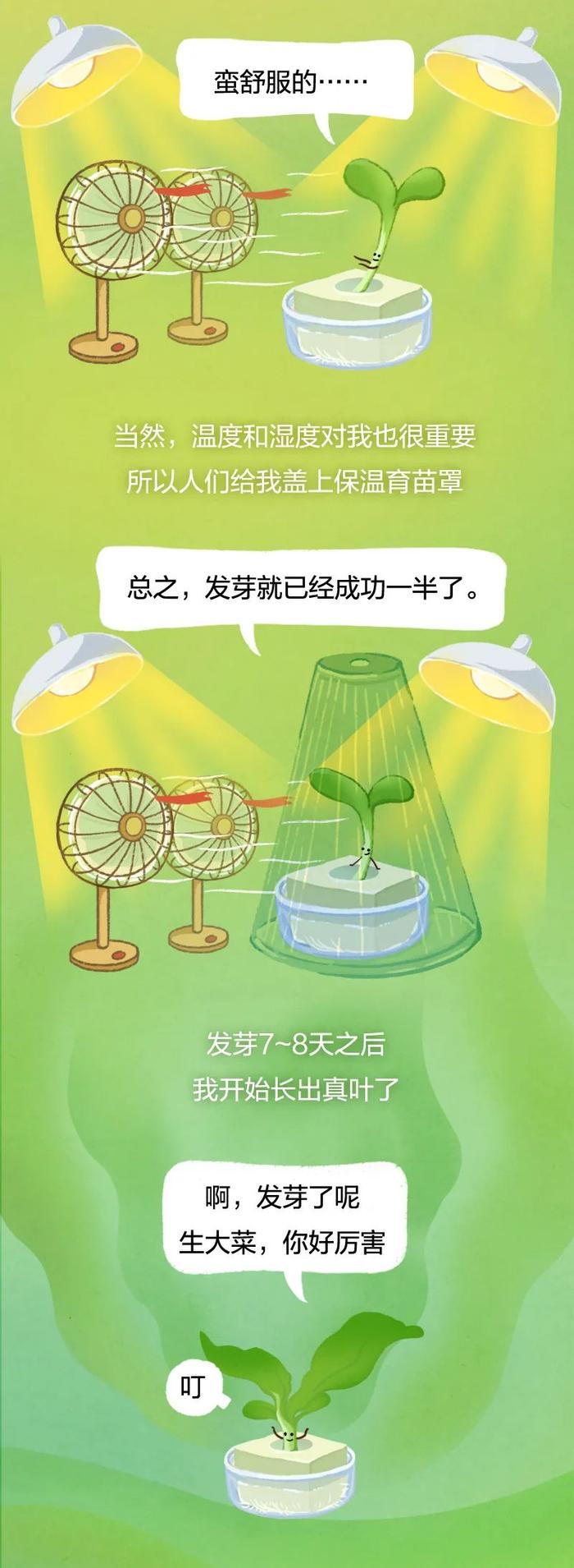 这种蔬菜，高纤维、低嘌呤，还能降低胆固醇！减肥的人吃想长胖都难