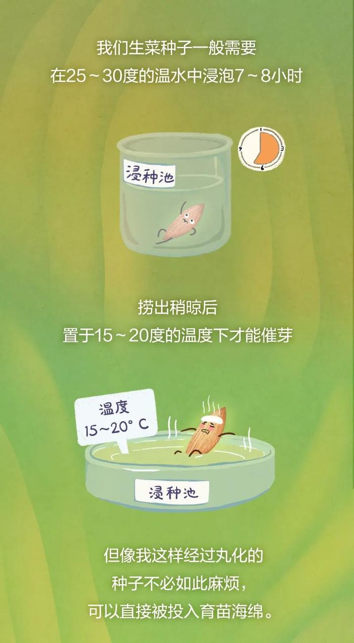 这种蔬菜，高纤维、低嘌呤，还能降低胆固醇！减肥的人吃想长胖都难