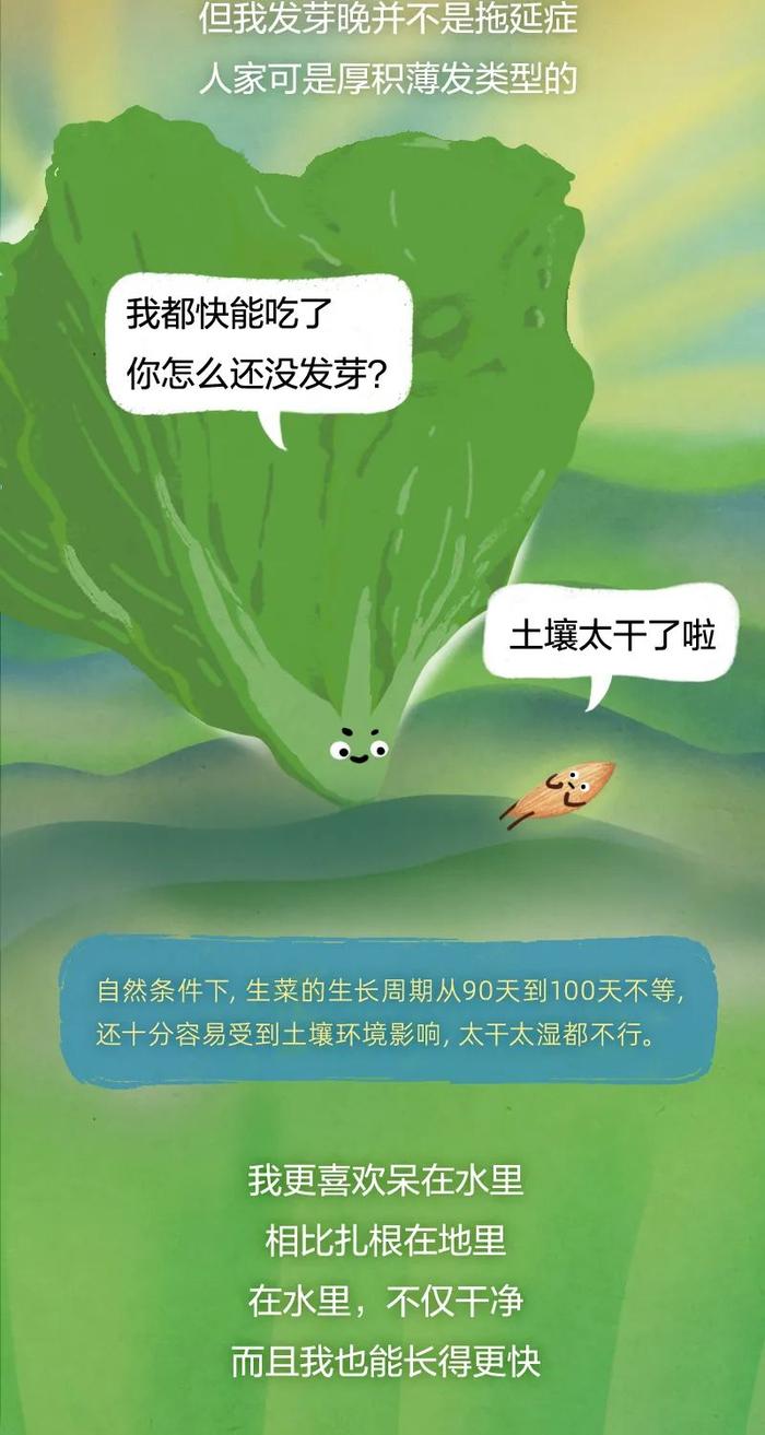 这种蔬菜，高纤维、低嘌呤，还能降低胆固醇！减肥的人吃想长胖都难