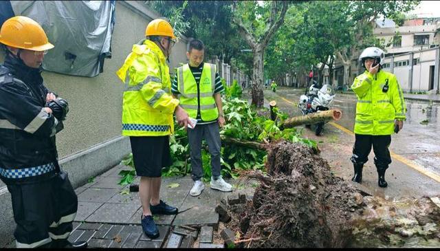 最强台风过境，这群青年连夜扶树、种树、清理道路