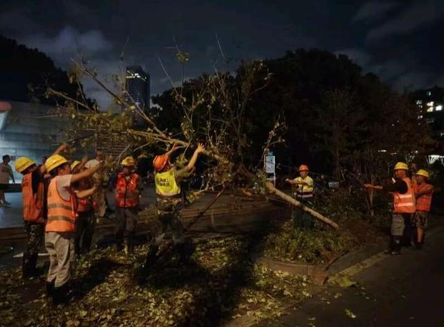 最强台风过境，这群青年连夜扶树、种树、清理道路