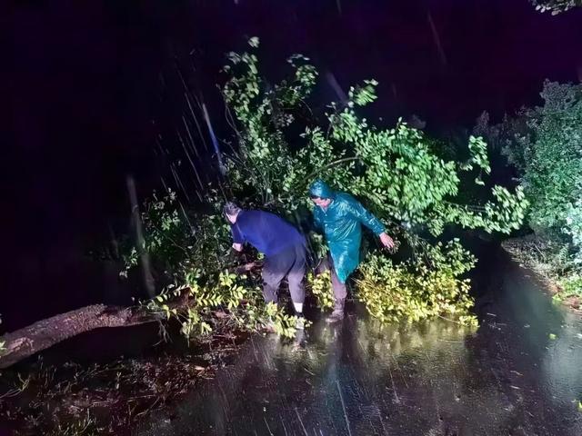 溧水东屏街道全面恢复生产生活秩序