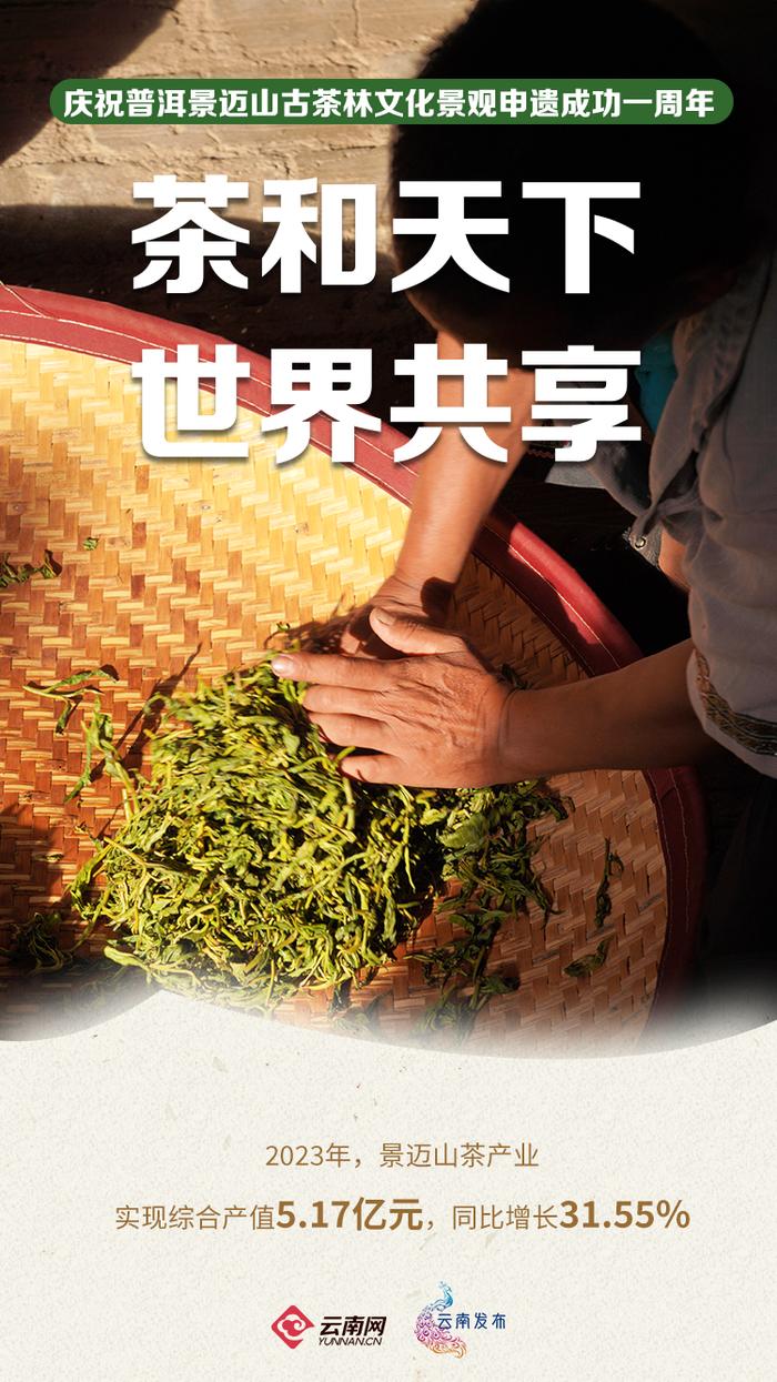 申遗成功一周年，景迈山怎么样了？