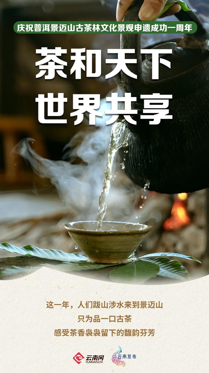 申遗成功一周年，景迈山怎么样了？