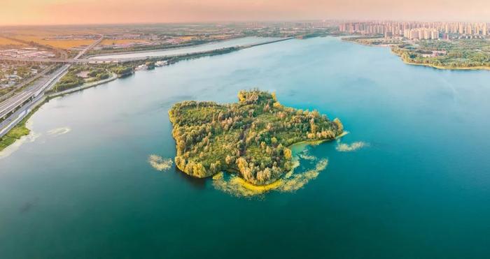 跟着秋晚游沈阳 | 共赏梦幻团圆地「丁香湖」