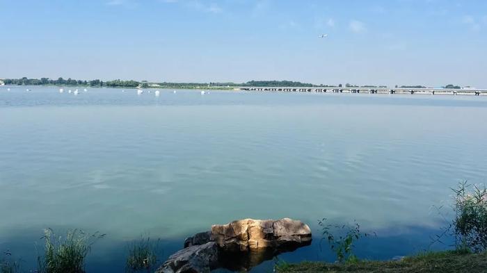 跟着秋晚游沈阳 | 共赏梦幻团圆地「丁香湖」