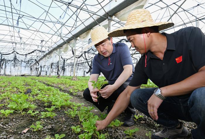 罗增斌调研指导灾后农业生产恢复并看望慰问支援农村一线抗灾的党员干部