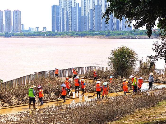 争分夺秒恢复沿江美景   为市民赏月营造良好环境