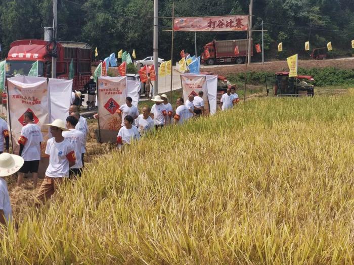 天府粮仓东部新区高标准农田喜获丰收 为四川浅丘水稻高产种植摸索出新路子