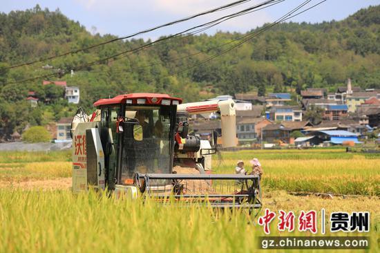 贵州剑河：机械助农事 秋收仓满粮