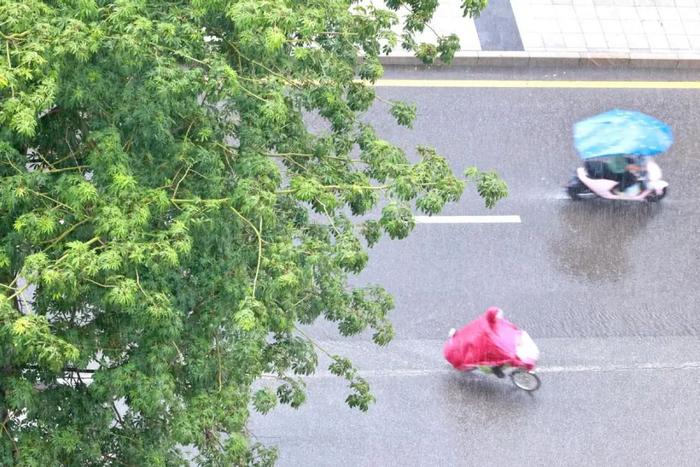 立秋首场冷空气来袭！东莞雷雨+8级大风！最低温降至22℃！