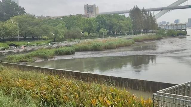 黄浦江的水漫出来了？上海防汛办回应