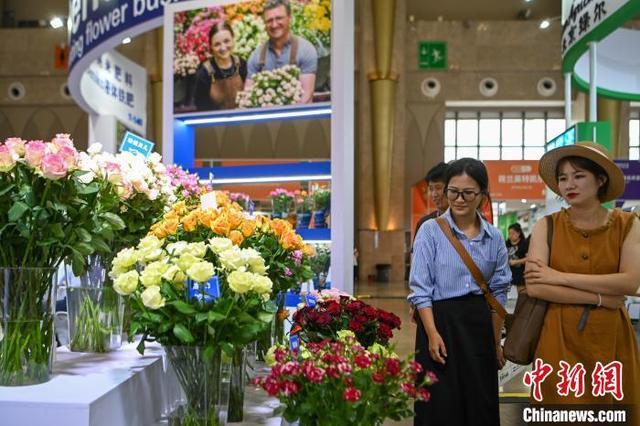 中国昆明国际花卉展启幕 观众遨游“花花世界”