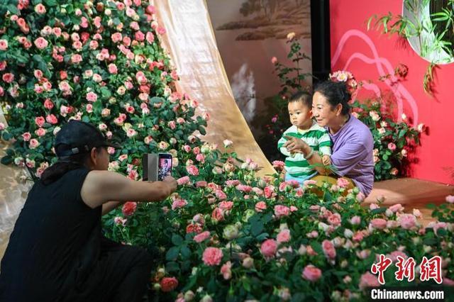 中国昆明国际花卉展启幕 观众遨游“花花世界”