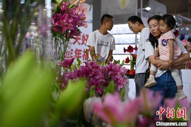 中国昆明国际花卉展启幕 观众遨游“花花世界”