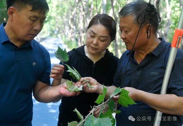 保护黄河生态的“战虫斗士”